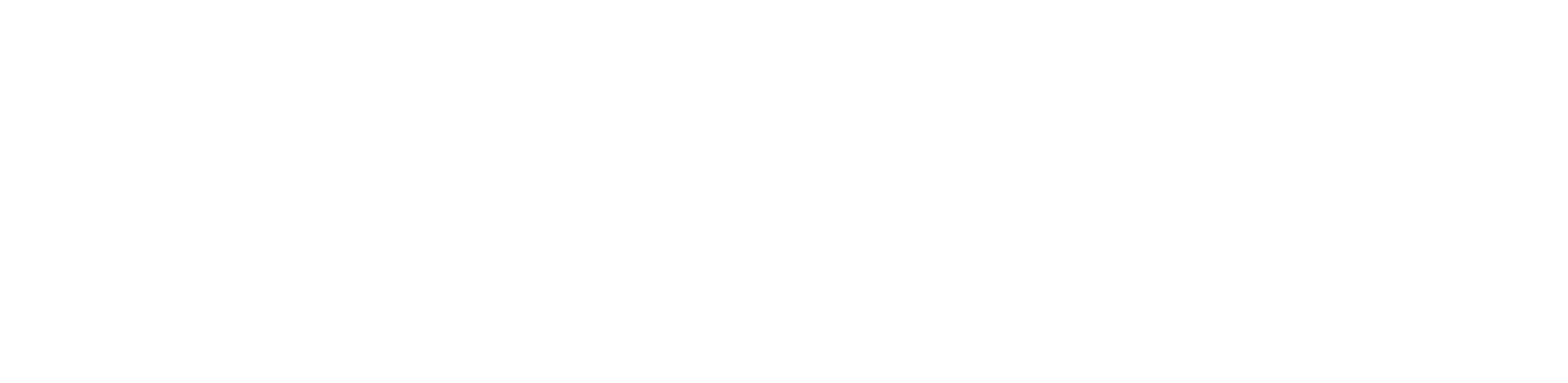 OWLV_logo_WHITE